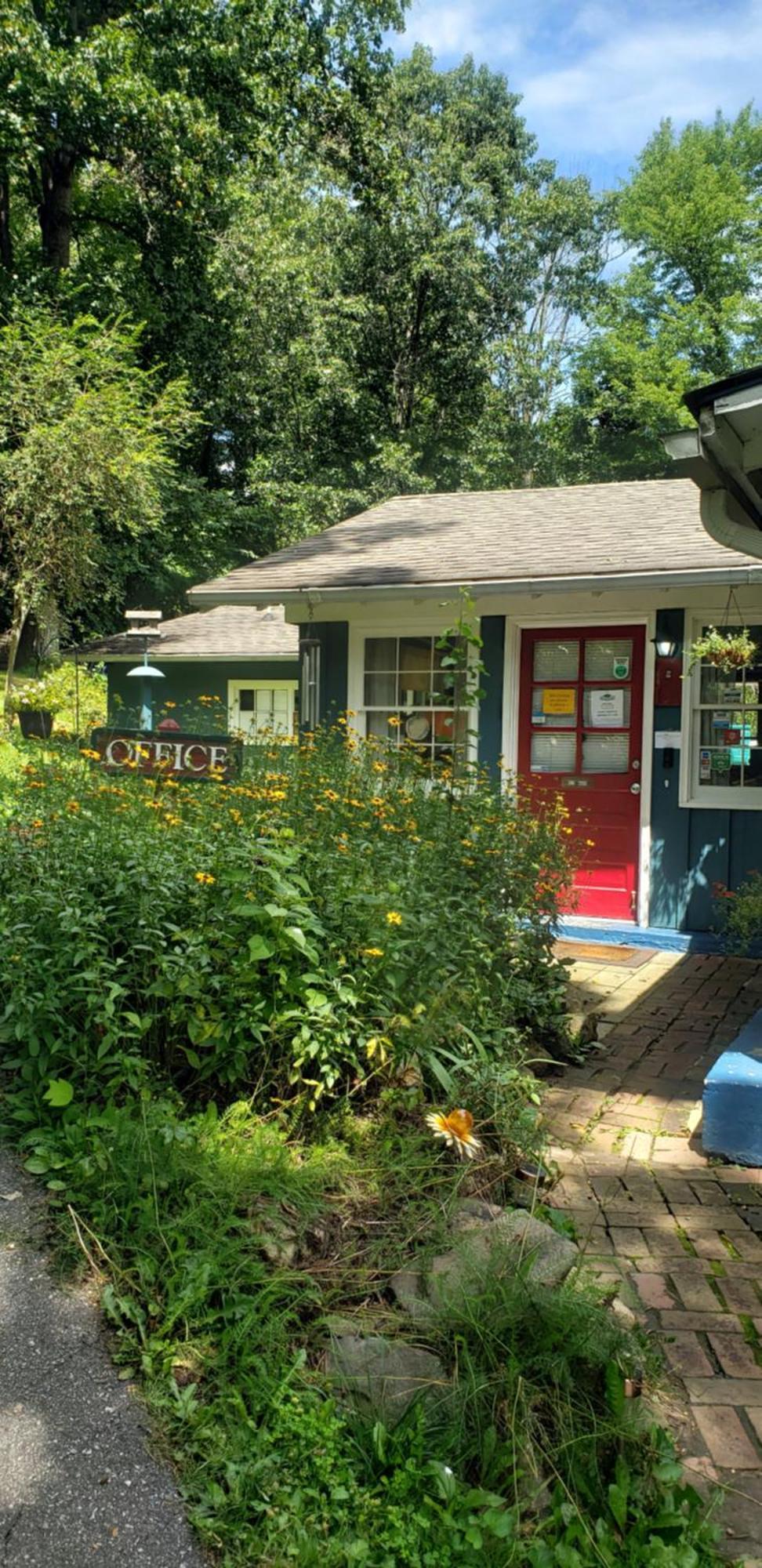 The Pines Cottages Woodfin Exterior foto